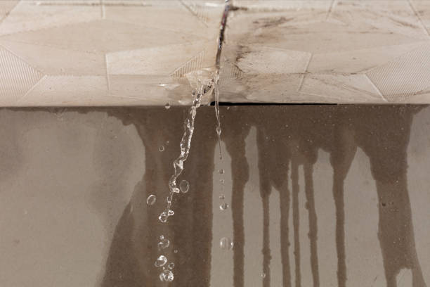 Professional Water Extraction technician working in West Springfield, VA
